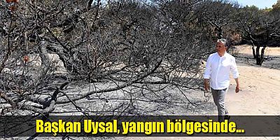 Başkan Uysal, yangın bölgesinde