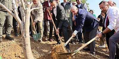 Başkan Vekili Çiçek