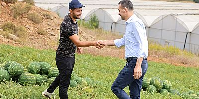 Başkan Vekili Çiçek, karpuz şenliği öncesinde üreticilerle hasatta buluştu