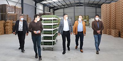 Başkan Vekili Emin Bal, fide üretim tesisini ziyaret etti