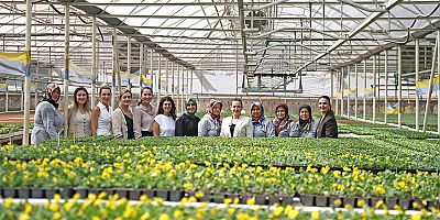 Başkan Vekili Özdemir bitki üretim tesisini gezdi 