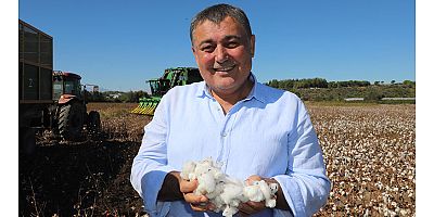 Başkan Yıldırım pamuk hasadına katıldı