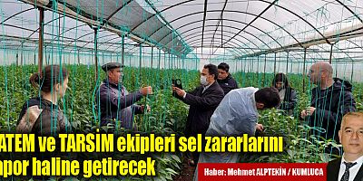 BATEM ve TARSİM ekipleri sel zararlarını rapor haline getirecek