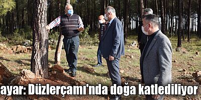 Bayar: Düzlerçamı'nda doğa katlediliyor