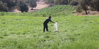 Belenobası sulama tesisi üreticinin yüzünü güldürdü