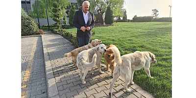 “Benim Evim GEBKİM” kampanyası Felis Başarı Ödülü kazandı