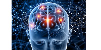 Beynin Temizlik Dengesi Bozulursa Öğrenme de Etkileniyor
