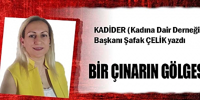 BİR ÇINARIN GÖLGESİ