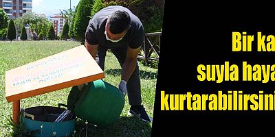 Bir kap suyla hayat kurtarabilirsiniz 