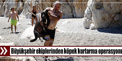 Bir koyda mahsur kalan köpek tekneyle karaya çıkarıldı