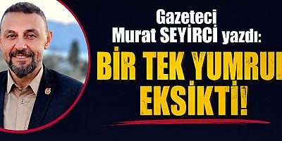 BİR TEK YUMRUK EKSİKTİ!