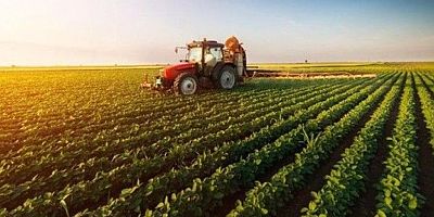 Bitkisel üretim bir önceki yıla göre arttı