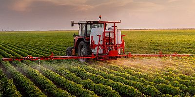 Bitkisel üretim bir önceki yıla göre tarla ürünlerinde azaldı, meyve ve sebze grubunda arttı