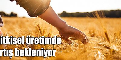 Bitkisel üretimde artış bekleniyor