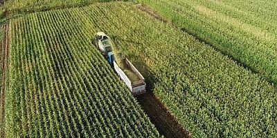 Bitkisel üretimin meyve ve sebzede artacağı tahmin edildi