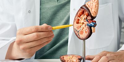 Böbrek kanseri riskini artıran 8 önemli neden!