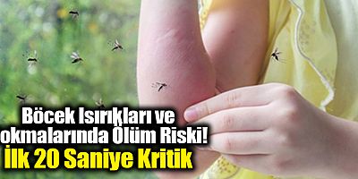 Böcek Isırıkları ve Sokmalarında Ölüm Riski! İlk 20 Saniye Kritik