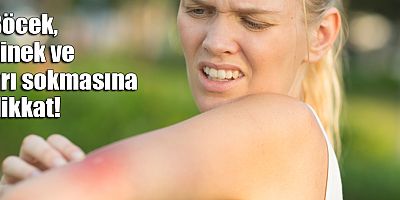 Böcek, sinek ve arı sokmasına dikkat!
