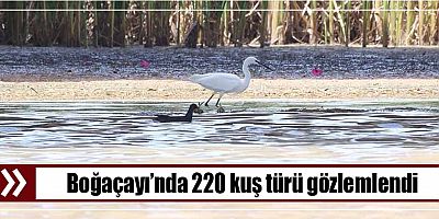 Boğaçayı’nda 220 kuş türü gözlemlendi