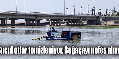 Boğaçayı’nda ekolojik dengeyi koruyan temizlik çalışması