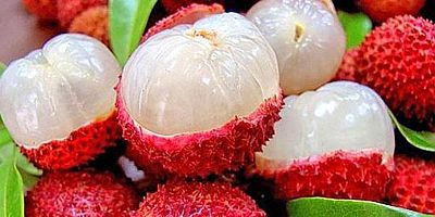 Bu C Vitamini deposunun adını daha önce duydunuz mu?