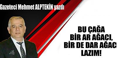 BU ÇAĞA BİR AR AĞACI