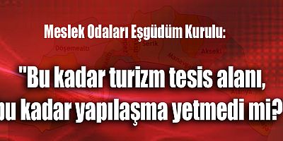 Meslek Odaları Eşgüdüm Kurulu