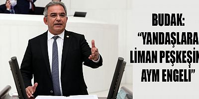 Budak: İktidarın yandaşlara liman kıyağına AYM 