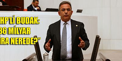 Budak, işsizlik sigortası fonunu TBMM gündemine tşıdı