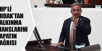 Budak: Kalkınma ajansları milletin sırtına yük