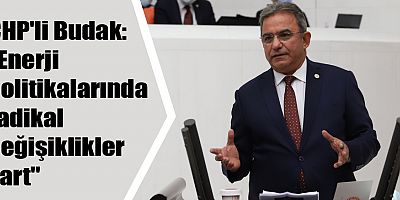 Budak TBMM'de çevre ve enerji politikalarını değerlendirdi