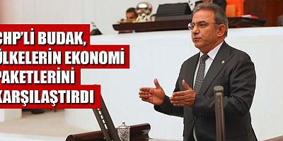 Budak, ülkelerin ekonomik paketlerini karşılaştırdı