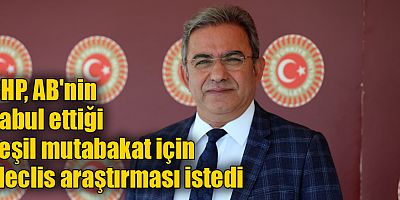 Budak: Yeşil mutabakat Türkiye'yi de etkileyecek