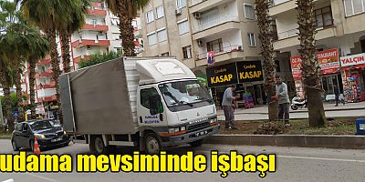 Budama mevsiminde işbaşı