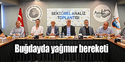 Buğdayda yağmur bereketi
