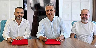 Büyük iş birliği