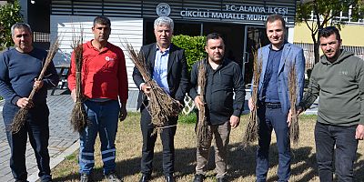 Büyükşehir Alanya’da 140 bin meyve fidanı dağıttı
