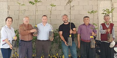 Büyükşehir Belediyesi 10 biner adet ceviz ve zeytin fidanı hibe etti