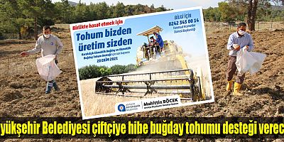 Büyükşehir Belediyesi çiftçiye hibe buğday tohumu desteği verecek