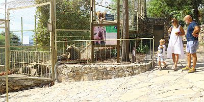 Büyükşehir Belediyesi Hayvanat Bahçesi’ne yoğun ilgi