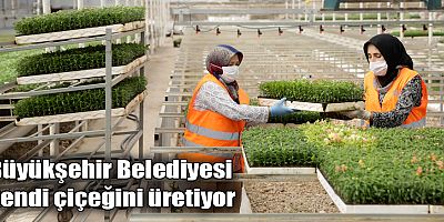 Büyükşehir Belediyesi kendi çiçeğini üretiyor
