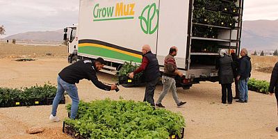Büyükşehir Belediyesi’nin fidan destekleri sürüyor