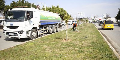 Büyükşehir Belediyesi Orman Haftası’nda refüjlere ağaç dikti