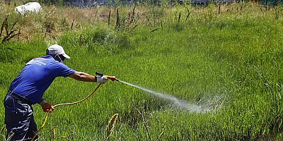 Büyükşehir Belediyesi vektörel mücadele ekipleri iş başında