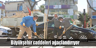 Büyükşehir caddeleri ağaçlandırıyor    