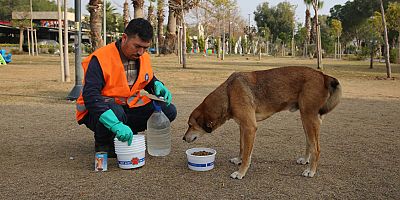 Büyükşehir can dostlara mama desteğini sürdürüyor