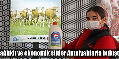 Büyükşehir çiğ Halk Süt satışına başladı