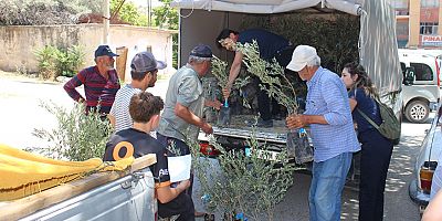 Büyükşehir’den 19 ilçeye 40 bin zeytin fidanı desteği