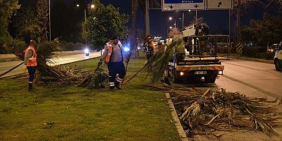 Büyükşehir’den gece budama çalışması 