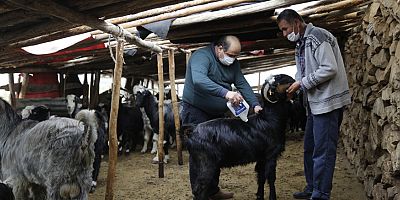 Büyükşehir’den Gündoğmuş’ta üretime destek